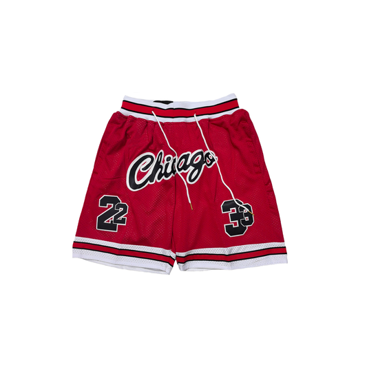 Bulls Vintage Shorts - Jordan